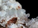 Orange Creedite Crystal Cluster on Fluorite - Durango, Mexico #51651-2